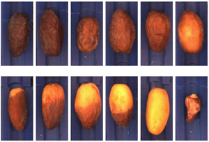 Date Images