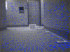 Optical Flow