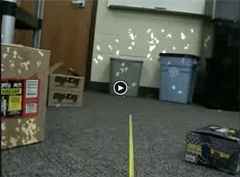 Optical Flow